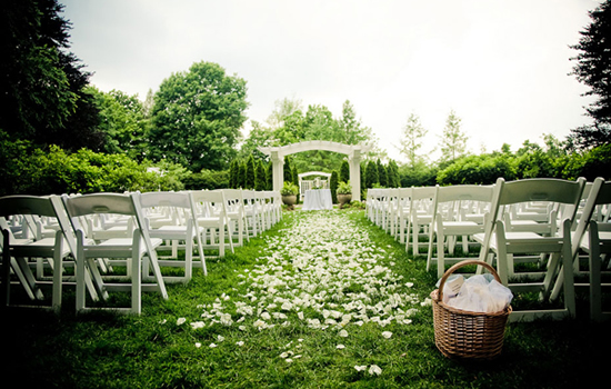 Backyard Wedding